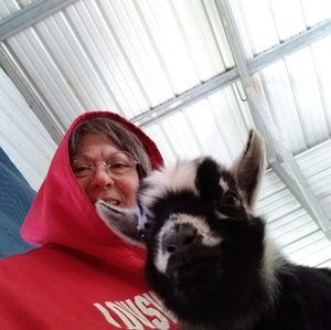 Meet your Posher, Renee